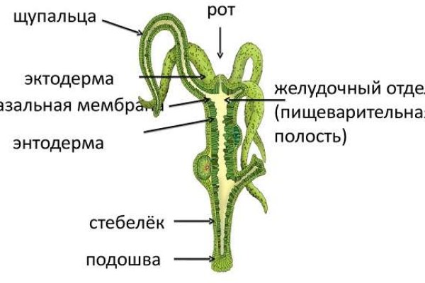 Кракен сайт 2krnk